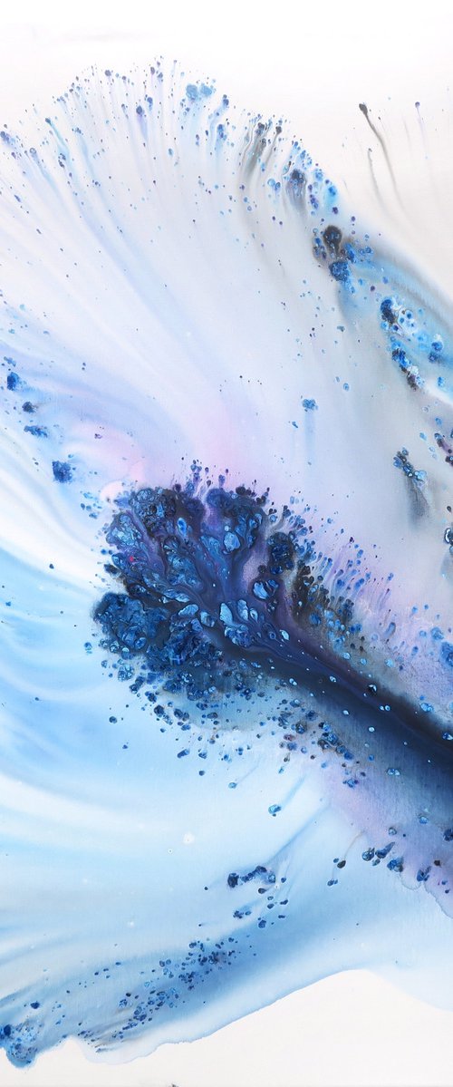 Eaux-Claires by Muriel Napoli