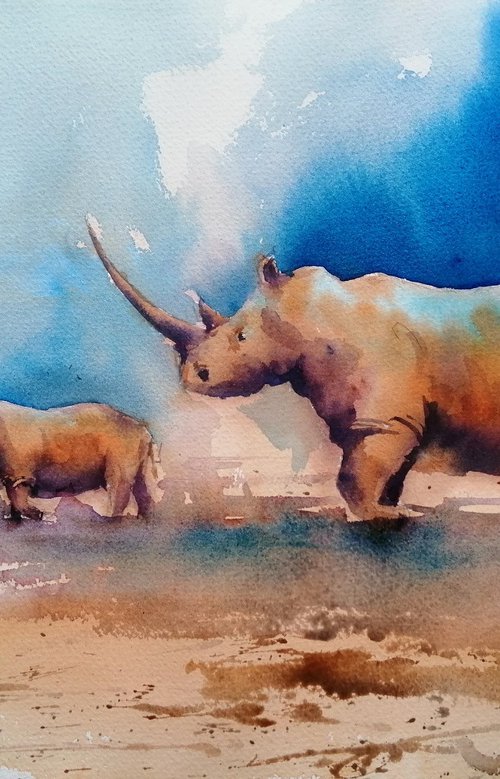rhinos 8 by Giorgio Gosti