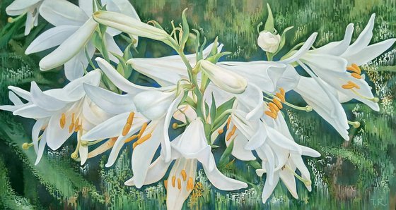 WHITE LILIES