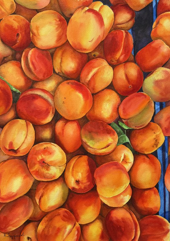 Apricots