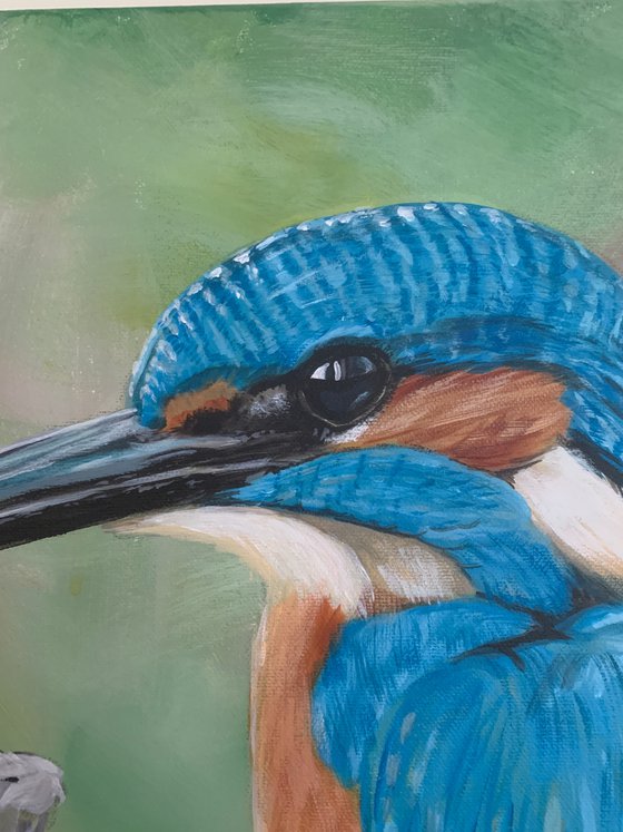 Kingfisher