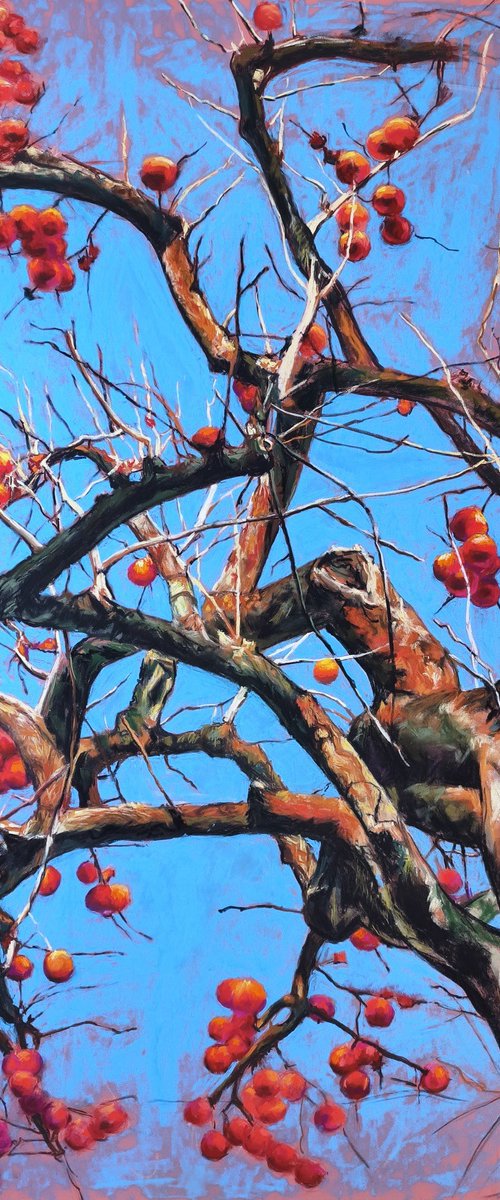 Portrait of a tree by Elza Slo