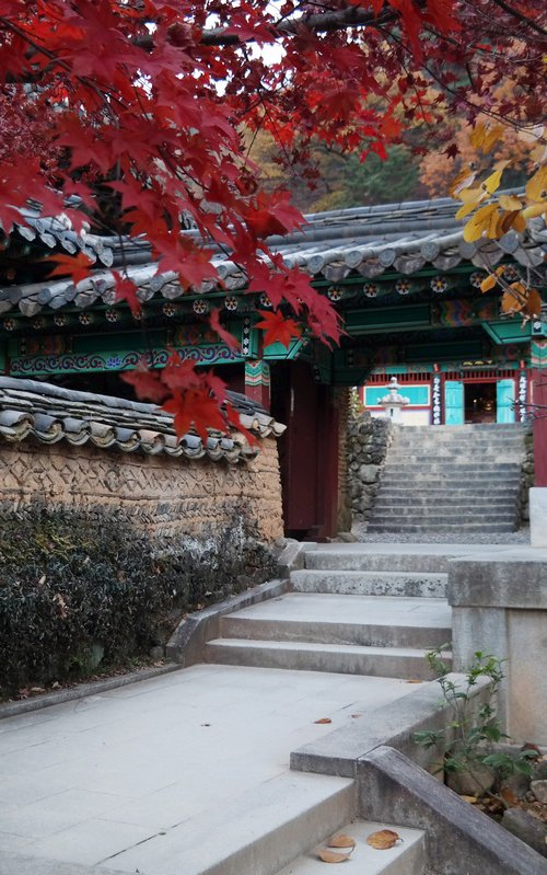 Autumn Maples Framing the Stairway Gate by sangwon jeon