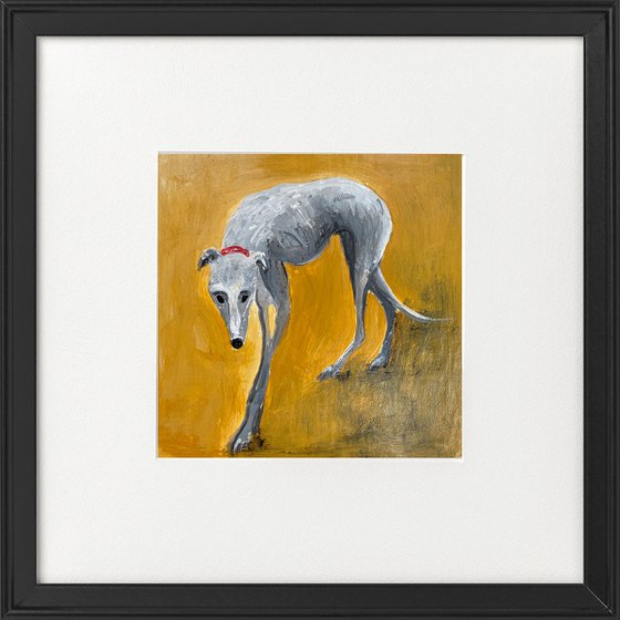 Grey Greyhound on Ochre