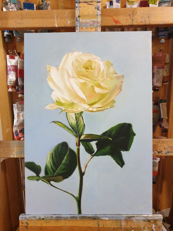 "Sounds of tenderness."  rose flower  liGHt original painting  GIFT (2021)