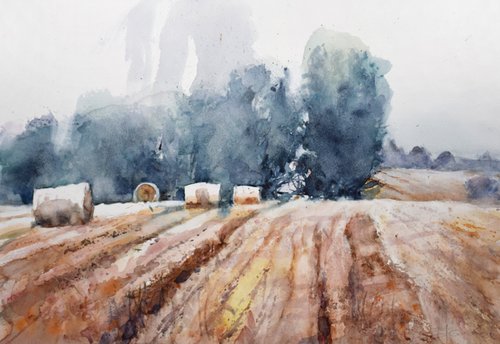 Wheat field by Goran Žigolić Watercolors