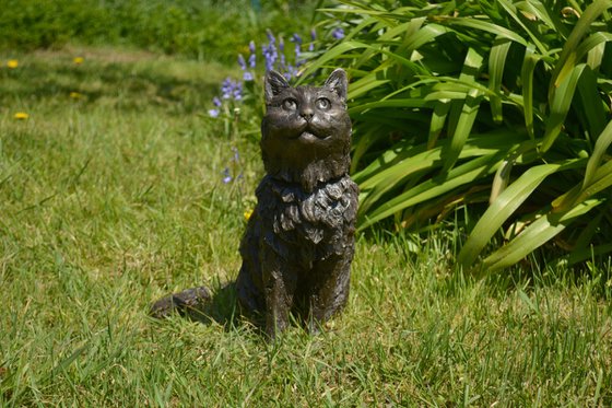 Longhaired Cat BR
