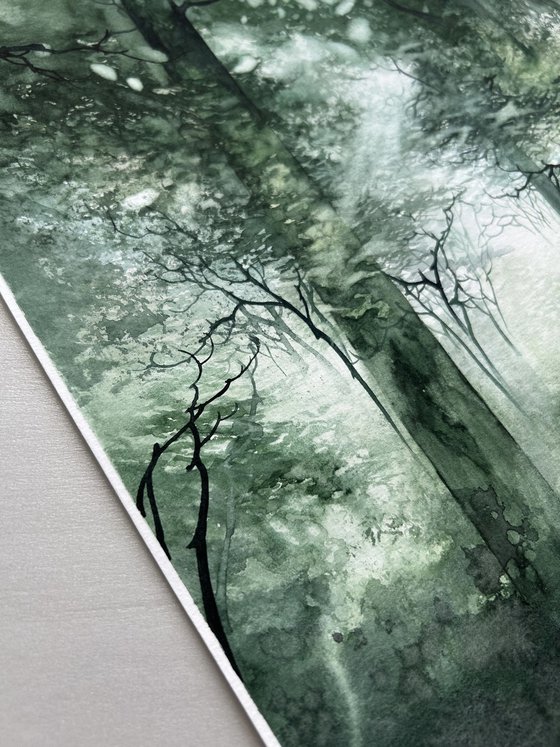 Forest Morning Mist