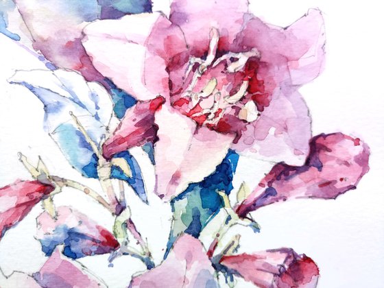 Decorative composition "Pink weigela flowers with leaves" - original watercolor work in square format