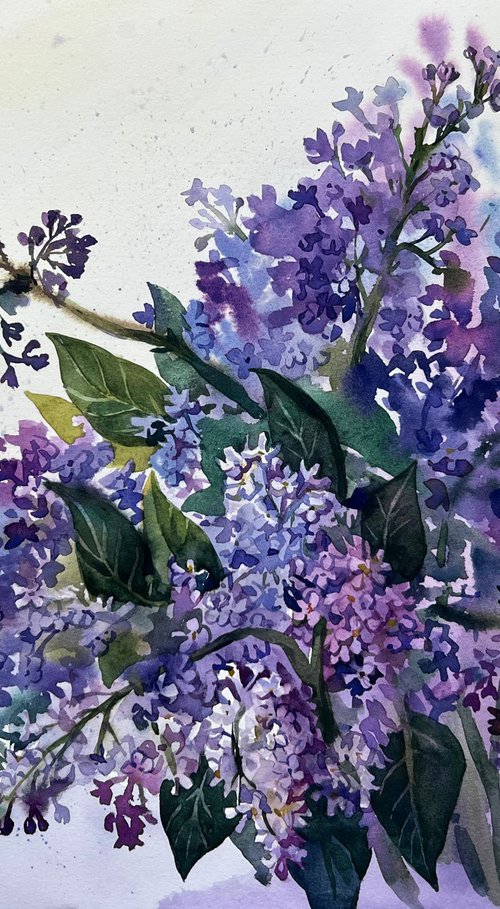 Bouquet of lilacs flowers. by Natalia Veyner