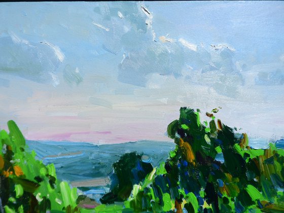 "  Vineyards "