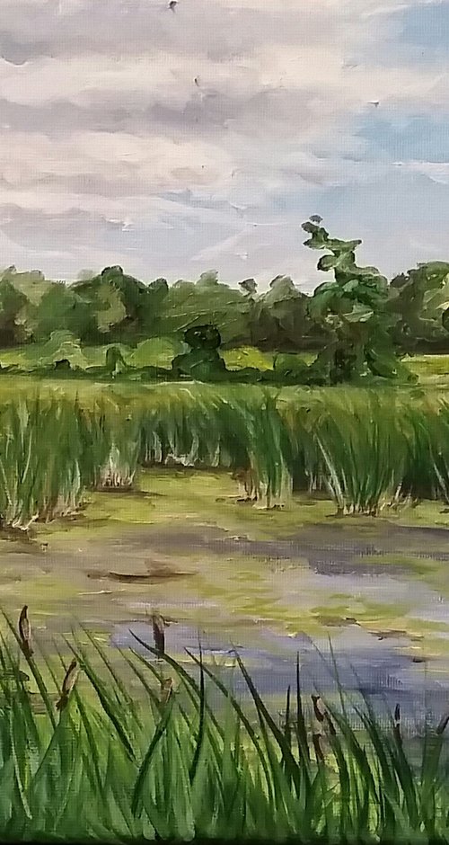 "Wetlands" - Landscape - Lake by Katrina Case