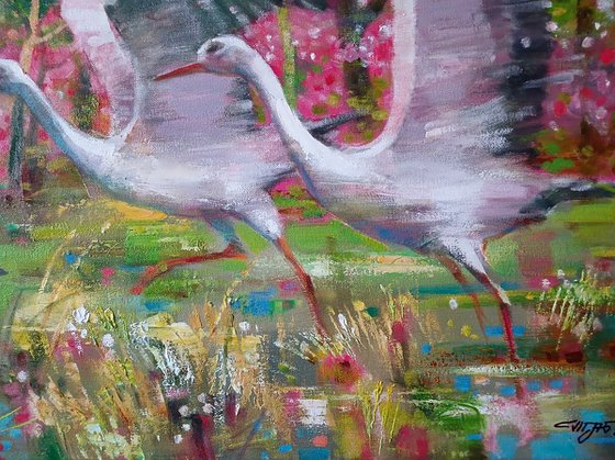 Storks on a Flower Meadow