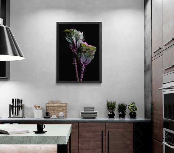 Flowering Kale