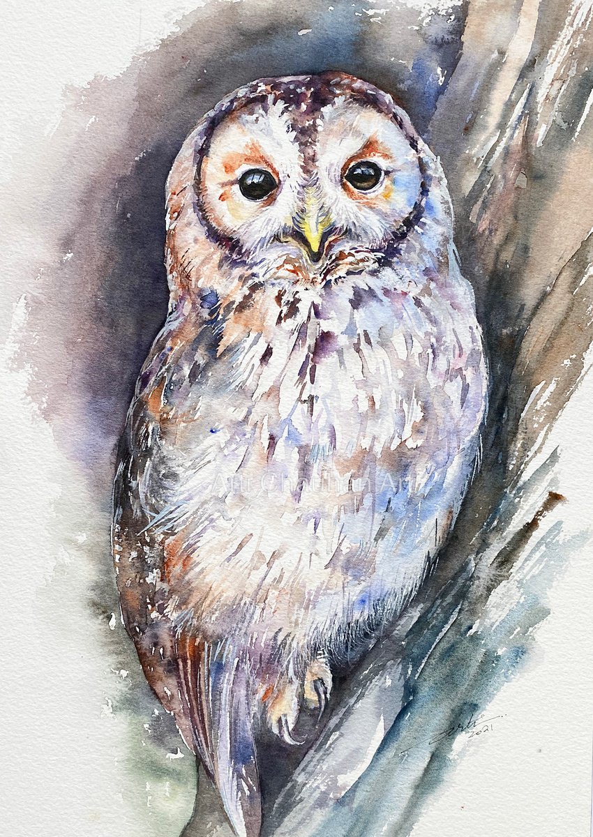 Tawny Terrence by Arti Chauhan