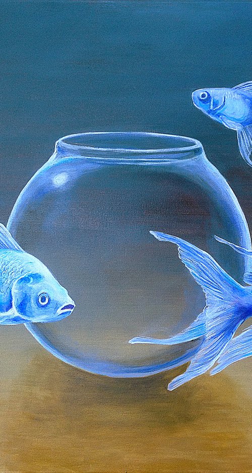 Goldfish XXXIII by Daniel Loveday