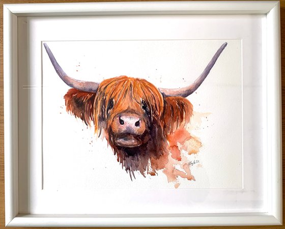 Highland Cow Watercolour