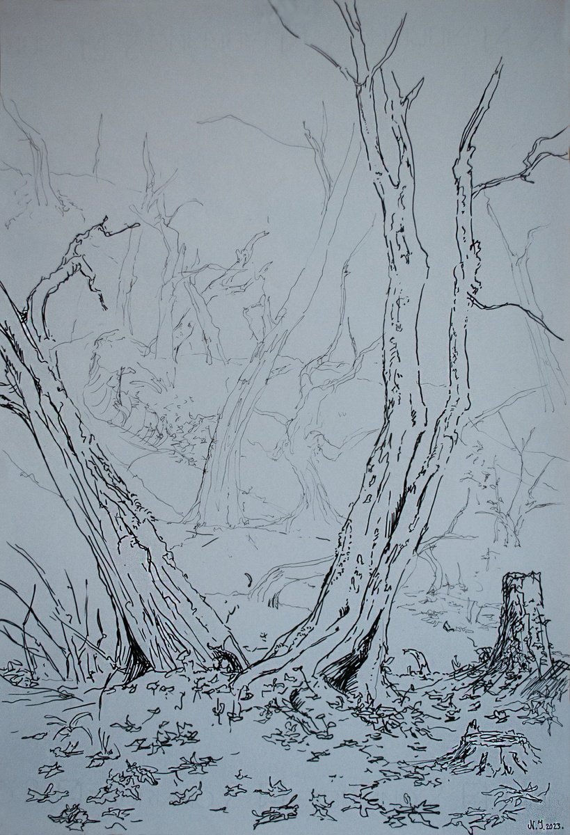 Graphic Ink Drawing , Autumn Forest Scene By Nikola Ivanovic, 13 X 19, Artwork For Sale On Artfinder