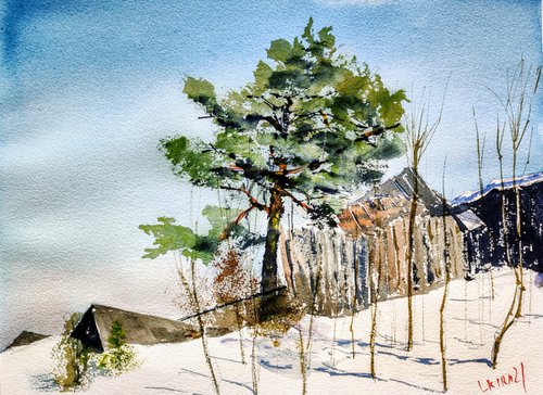 Pine on the hillside by Leonid Kirnus