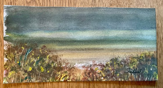 Shell bay, Dorset