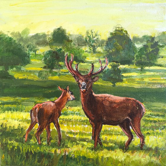 Richmond Park four seasons