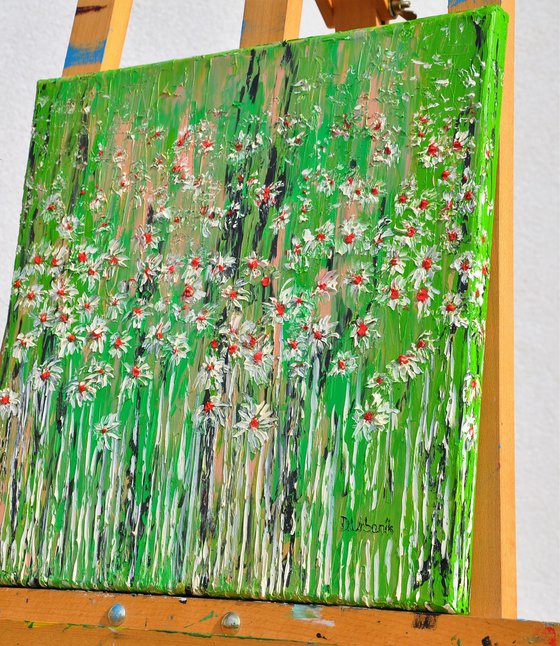Daisies In The Grass