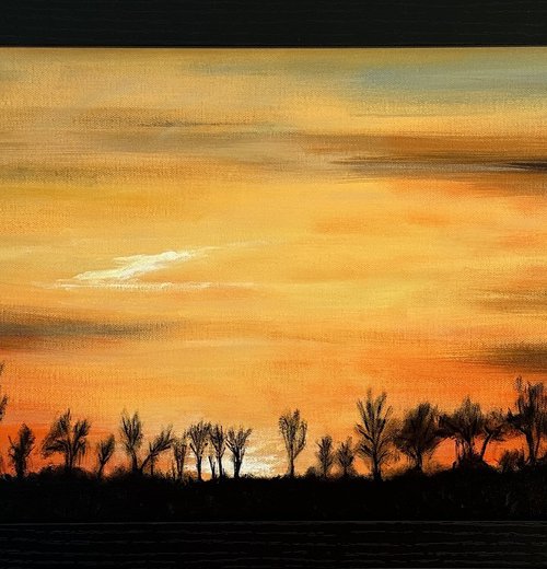 Winter Light by Kaz  Jones