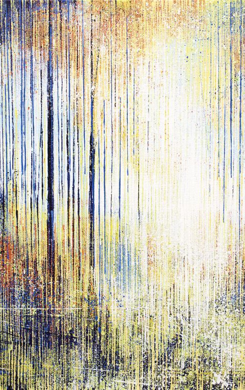 Morning light through trees by Marc Todd
