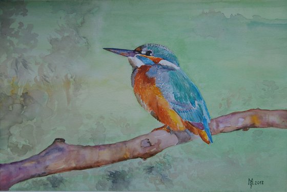 KINGFISHER