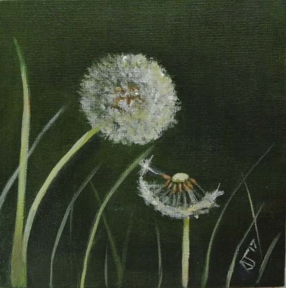 Dandelion Oil Painting 3