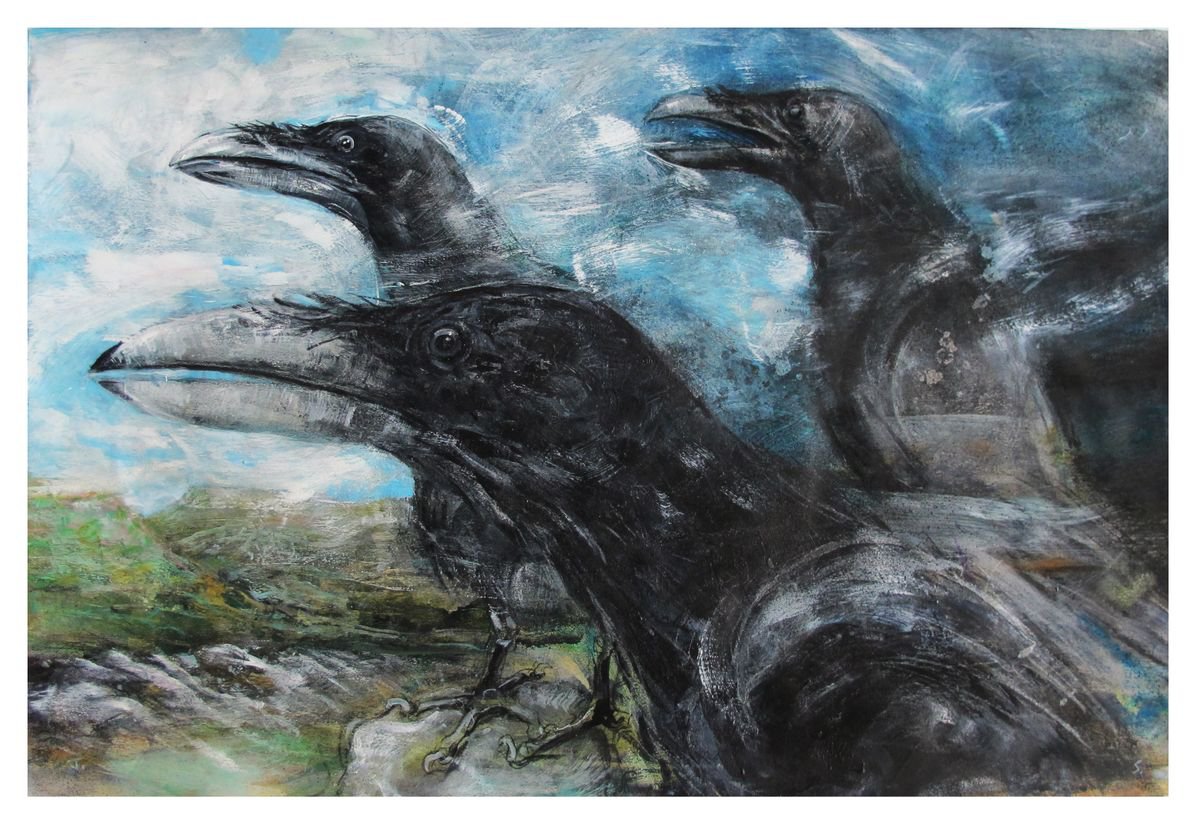 Three Ravens , Crummack Dale by John Sharp