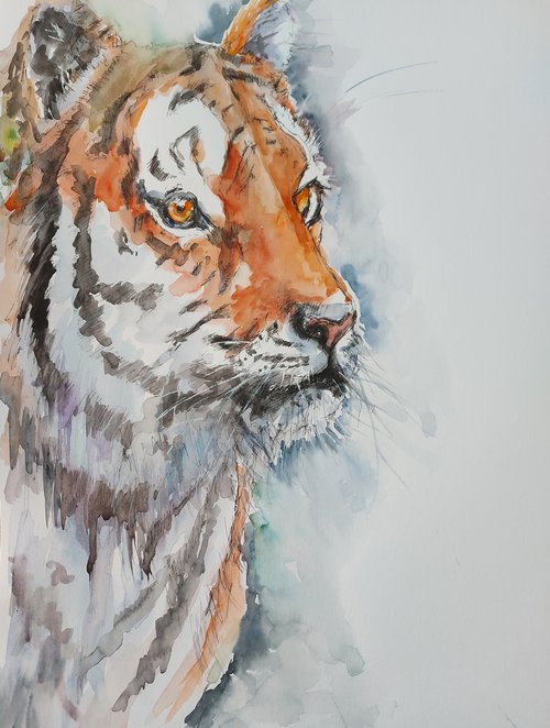 Tiger Tiger by Sue  Green