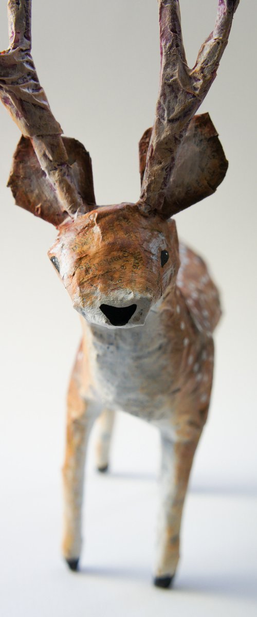 Stag by Victoria Lucy Williams