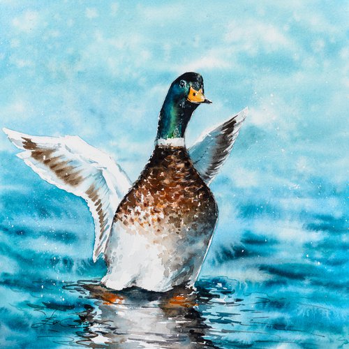 Duck by Eve Mazur
