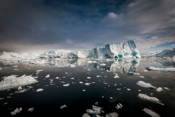 The Icebergs Cometh 7