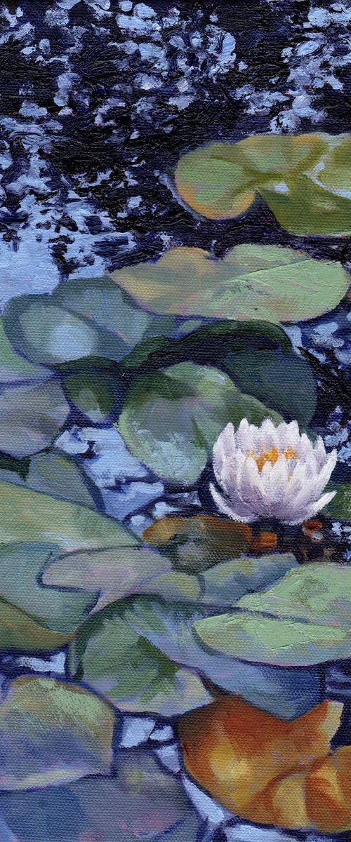 Water Lily at Giverny by Zoe Elizabeth Norman