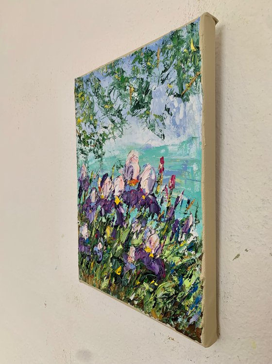 Irises