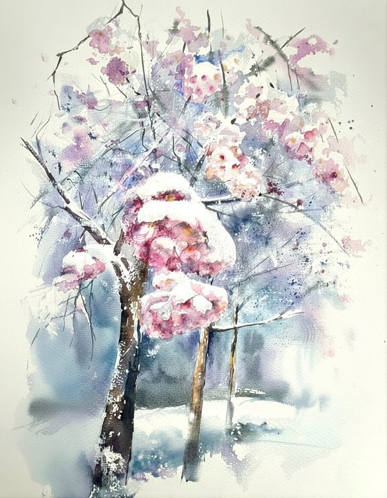 Cherry Blossoms in Winter Snowfall