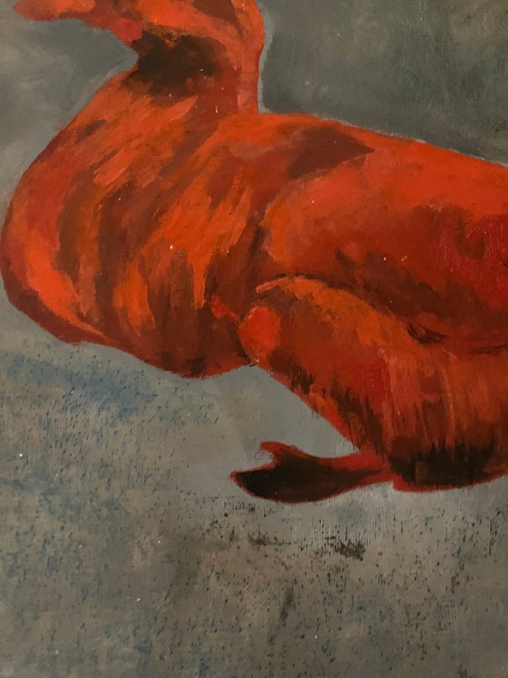 Fluffy duck 30x30