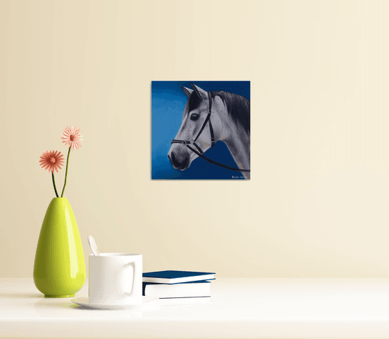 Horse Portrait 65