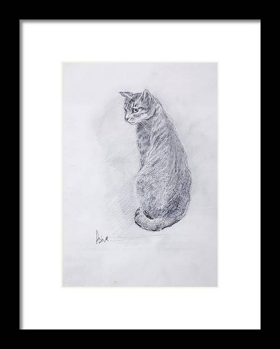 Illustrative Animal Pencil Drawing By Asha Shenoy, 8 X 12, Kaveri, The Tabby Cat, Original Artwork