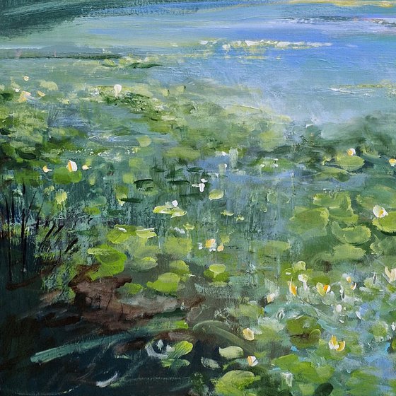 Lake with water lilies