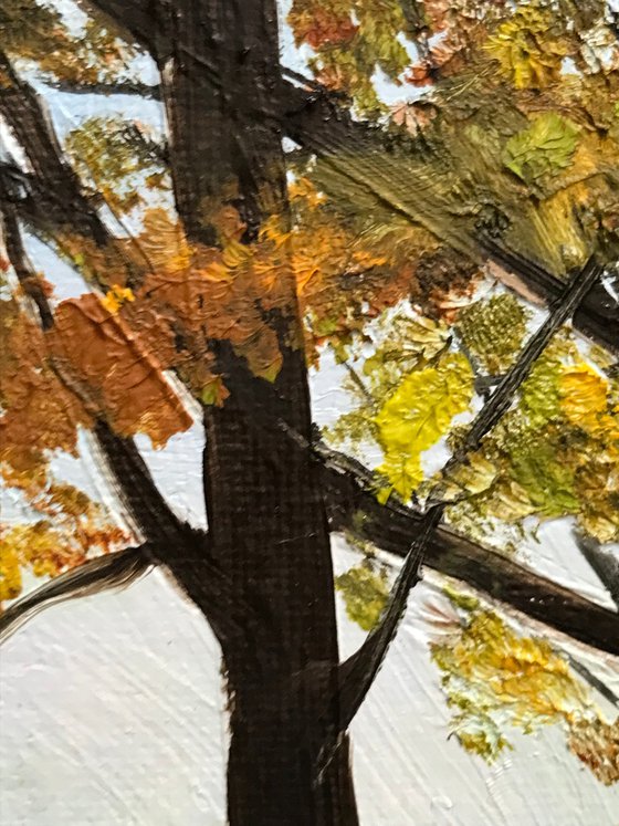 Autumn In Montenegro