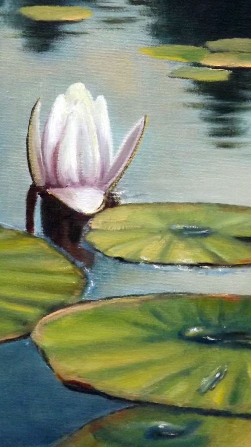 Water Lilies - Reserved for Kelly by Oleg Riabchuk