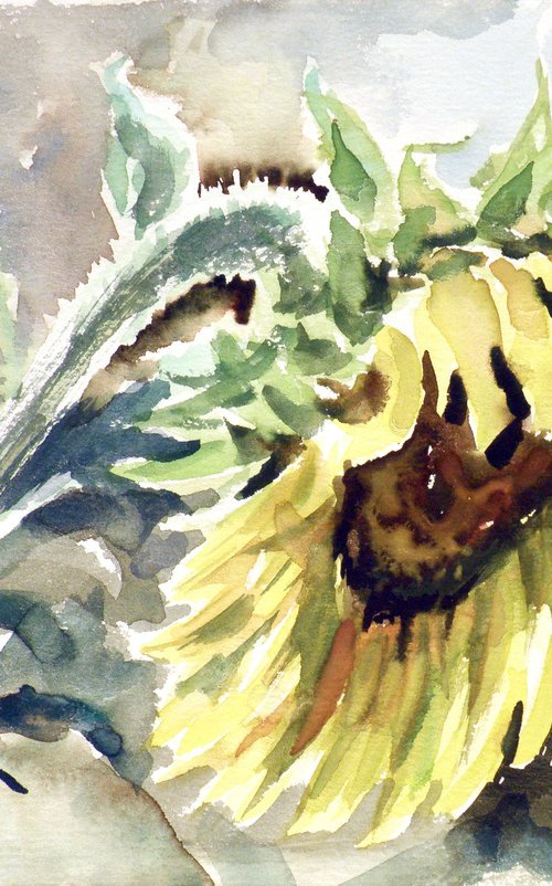 Sunflower by Kovács Anna Brigitta