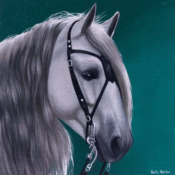Horse Portrait 79