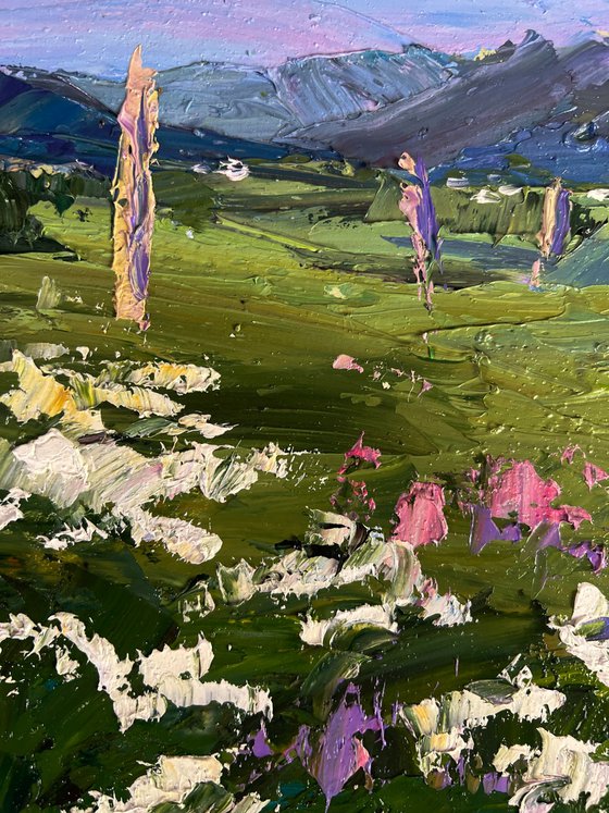 Flowering Mountain Fields