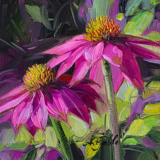 Echinacea flower