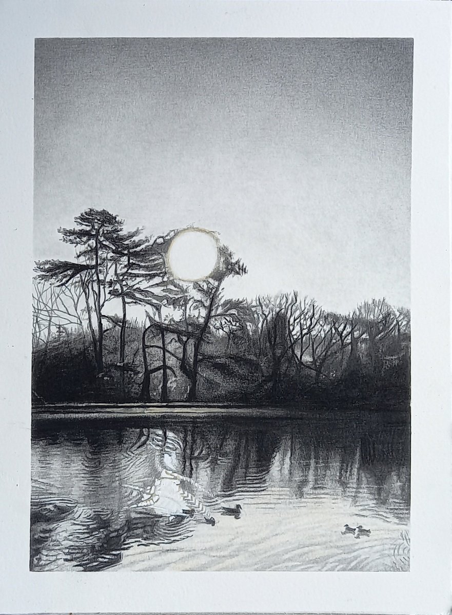 Landscape Pencil Drawing By Lisa Punter, 11 X 15", Reflections 6, Original Artwork