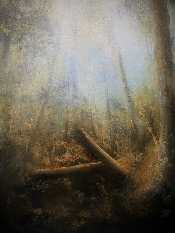 Forest interior - The fallen